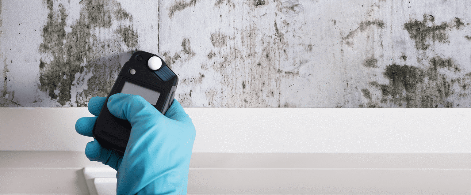 How Mold Testing Services Detect Hidden Mold